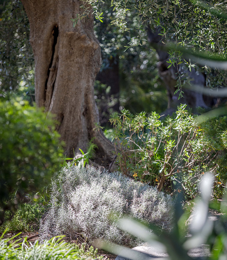 Villa les Lavandière