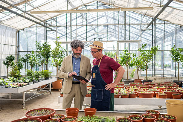 architecte paysagiste à Cannes